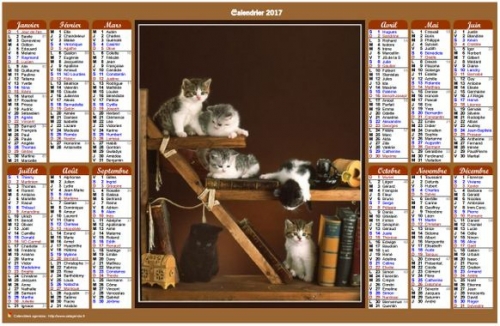 calendrier-annuel-chats-colonnes.jpg