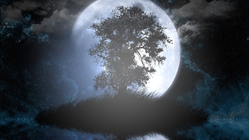 lune arbre.jpg